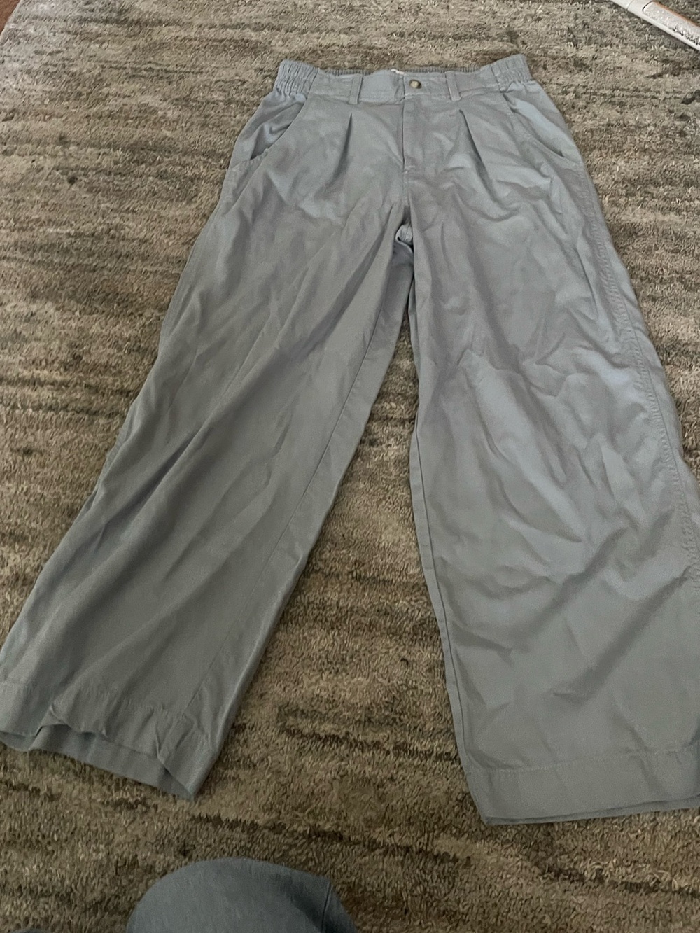 Madewell Light Gray Wide-Leg Pleated Chinos